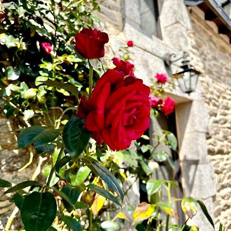 Gite Diamant, Vallee Du Scorff, Nature, Bien-Etre Arzano Exterior photo